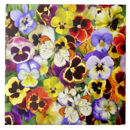  pansies en vlinders tegeltje (Voorkant)