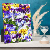 Pansies Fotoplaat (Zijkant)