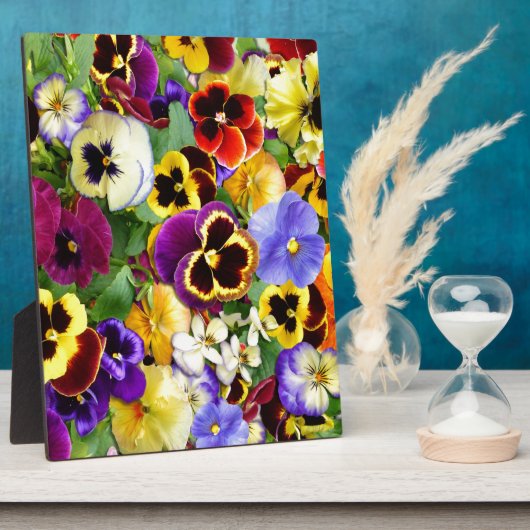  Pansies Fotoplaat (Zijkant)