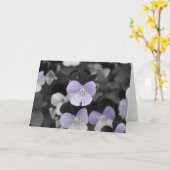 Pansies / geïsoleerde kleur kaart (Gele Bloem)