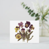  Pansies in Bloom, Floral Garden Flowers Briefkaart (Staand voorkant)