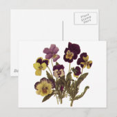  Pansies in Bloom, Floral Garden Flowers Briefkaart (Voorkant / Achterkant)