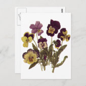  Pansies in Bloom, Floral Garden Flowers Briefkaart (Voorkant / Achterkant)