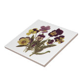 Pansies in Bloom, Floral Garden Flowers Tegeltje (Zijkant)