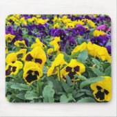  Pansies in een kas Muismat (Voorkant)