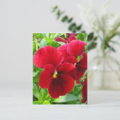 Pansies in het Briefkaart van april (Staand voorkant)