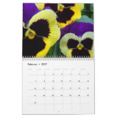 Pansies kalender 2016 (Feb 2027)
