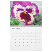 Pansies kalender 2016 (Mar 2027)