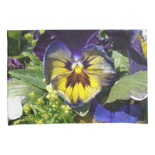 PANSIES! KUSSENSLOOP (Voorkant-Rechts)