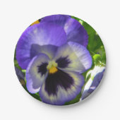 Pansies Leven Papieren Bordje (Voorkant)