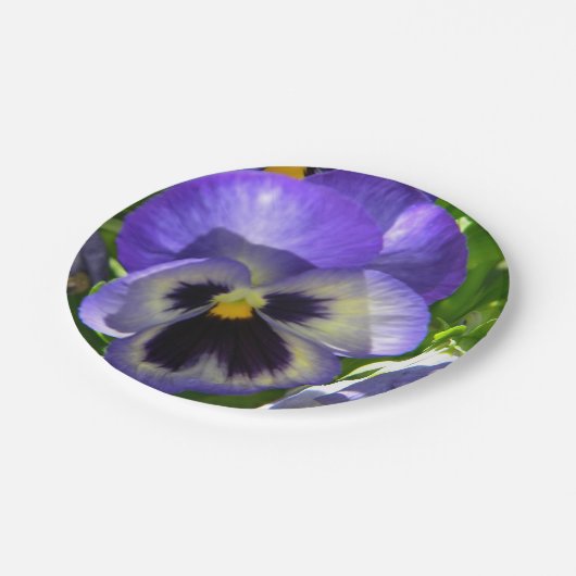 Pansies Leven Papieren Bordje (Gekanteld)