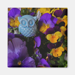 Pansies met uil magneet