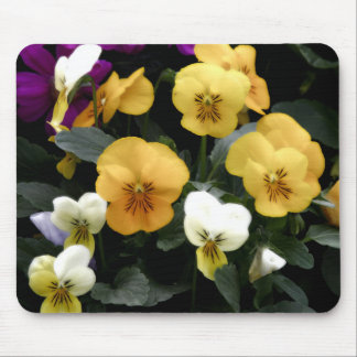 Pansies Muismat