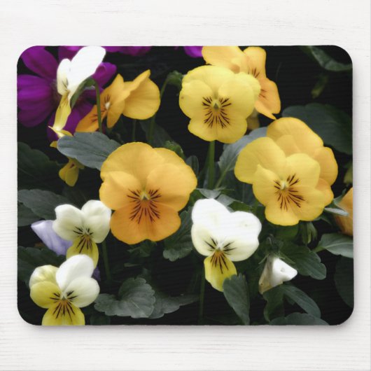 Pansies Muismat (Voorkant)