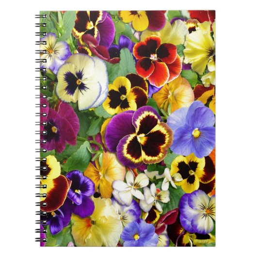  Pansies Notitieboek (Voorkant)