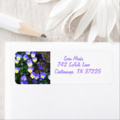 Pansies op retouradreslabels etiket (Insitu)