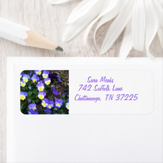 Pansies op retouradreslabels etiket (Insitu)