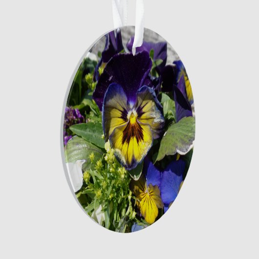 PANSIES! ORNAMENT (voorkant)