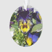 PANSIES! ORNAMENT (voorkant)