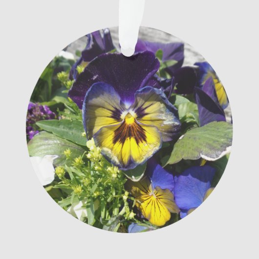PANSIES! ORNAMENT (voorkant)