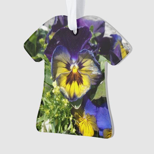 PANSIES! ORNAMENT (voorkant)