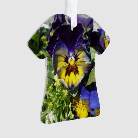 PANSIES! ORNAMENT (voorkant)