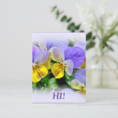 Pansies - Paars en geel Briefkaart (Staand voorkant)