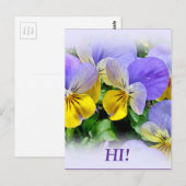 Pansies - Paars en geel Briefkaart (Voorkant / Achterkant)