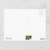 Pansies - Paars en geel Briefkaart (Achterkant)