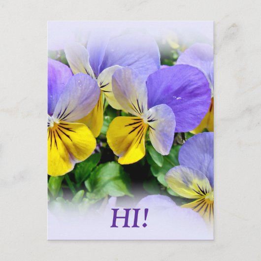 Pansies - Paars en geel Briefkaart (Voorkant)