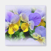 Pansies - Paars en geel Magneet (Voorkant)