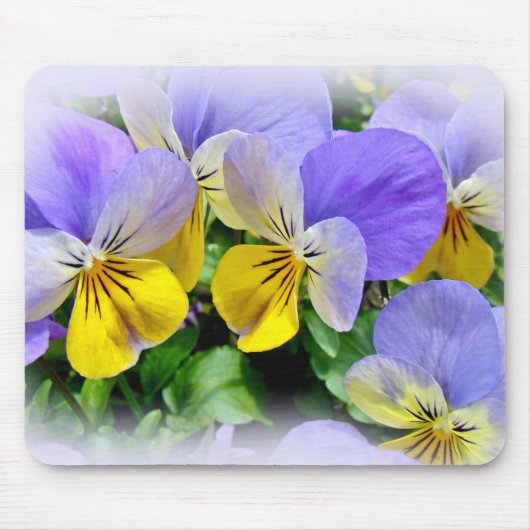 Pansies - Paars en geel Muismat (Voorkant)