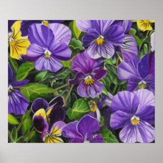 Pansies, "Paarse Pansies" van Jenny Koch Poster