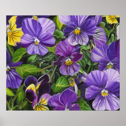 Pansies, "Paarse Pansies" van Jenny Koch Poster (Voorkant)