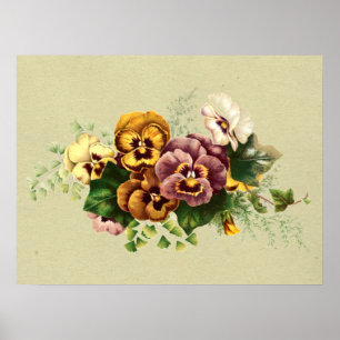  Pansies Painted Bouquet Poster