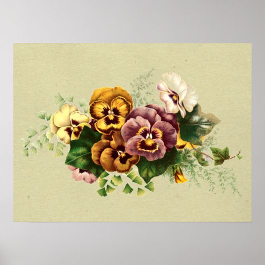  Pansies Painted Bouquet Poster (Voorkant)