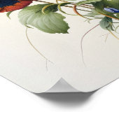 Pansies Pansy Flower Art Print Poster (Hoek)