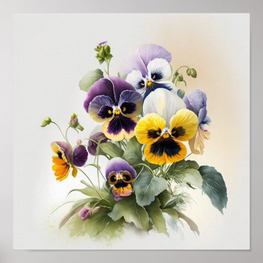 Pansies Pansy Flower Art Print Poster (Voorkant)