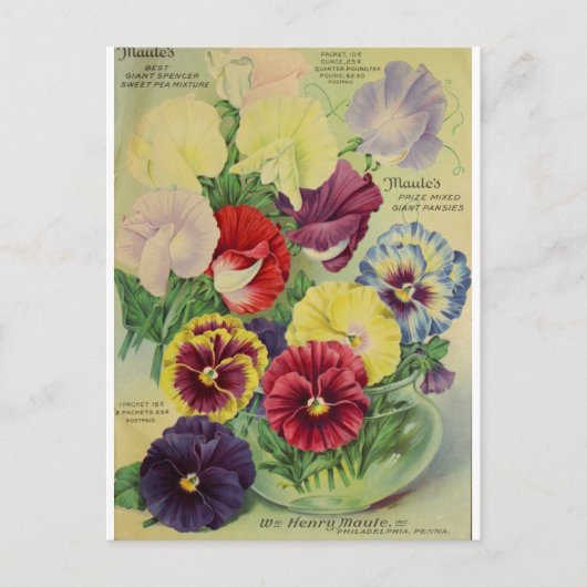Pansies Pansy Flower Botanical  Briefkaart (Voorkant)