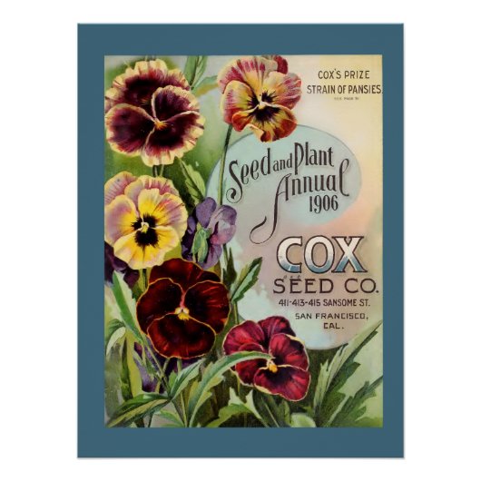 Pansies Perfect Poster (Voorkant)