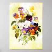Pansies Poster (Voorkant)
