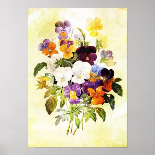 Pansies Poster (Voorkant)