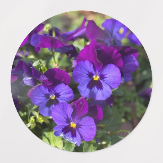 Pansies Return Address Labels (Design 2)