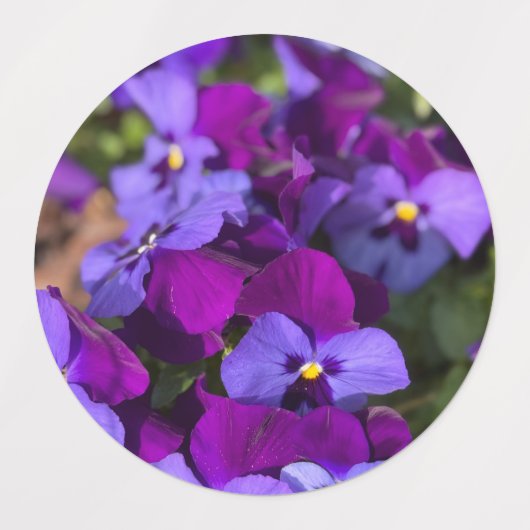 Pansies Return Address Labels (Design 1)