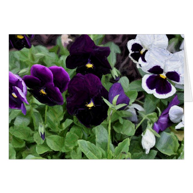 Pansies/schilderijen, kaarten (Voorkant Horizontaal)