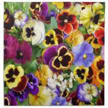  Pansies