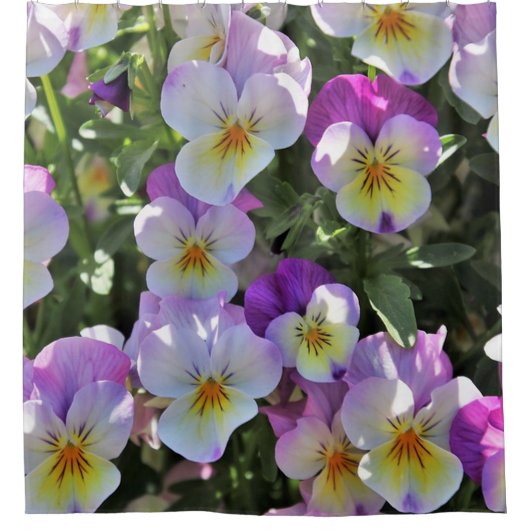 Pansies Shower-gordijn Douchegordijn (Voorkant)