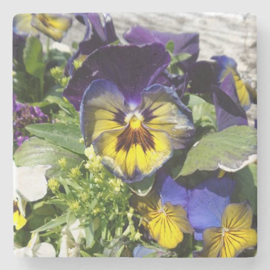 PANSIES! STENEN ONDERZETTER (Voorkant)