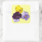 Pansies Stickers (Tas)