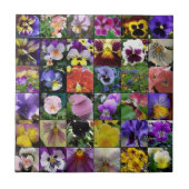 Pansies Tegeltje (Voorkant)